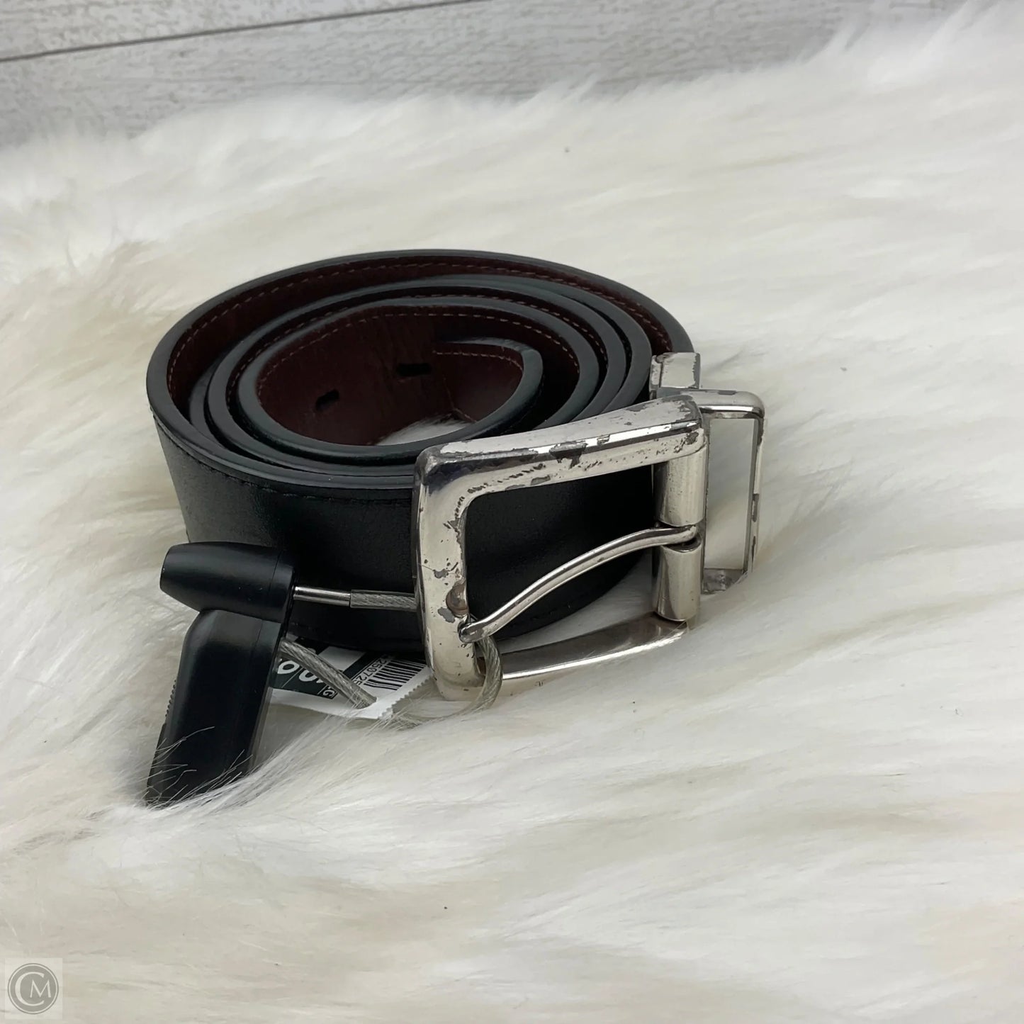 Belt By Fossil