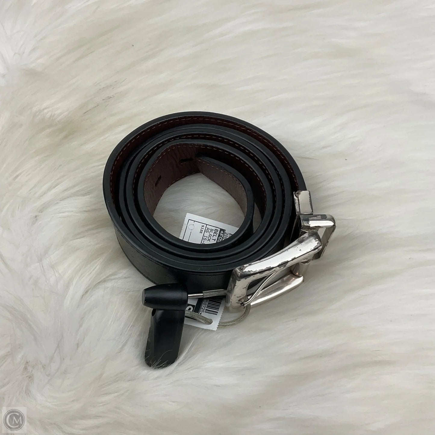Belt By Fossil