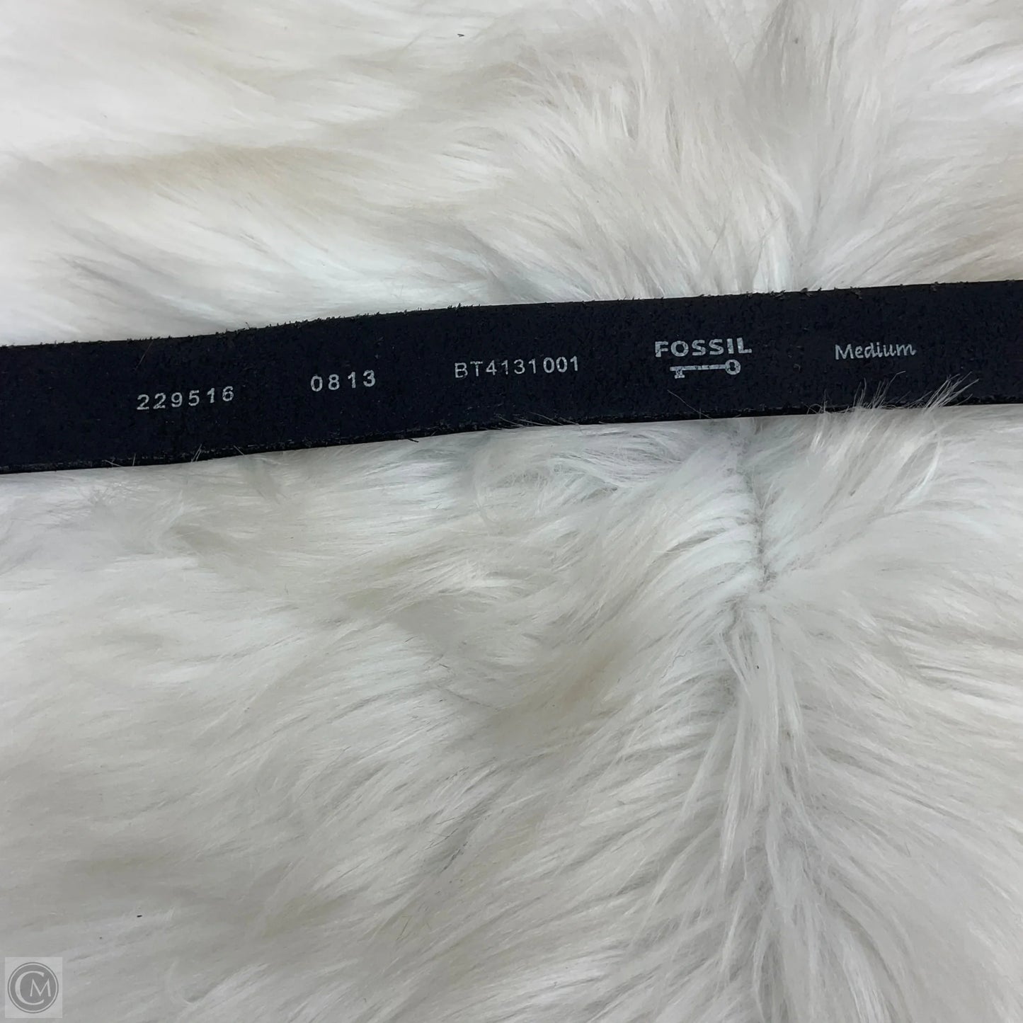 Belt By Fossil