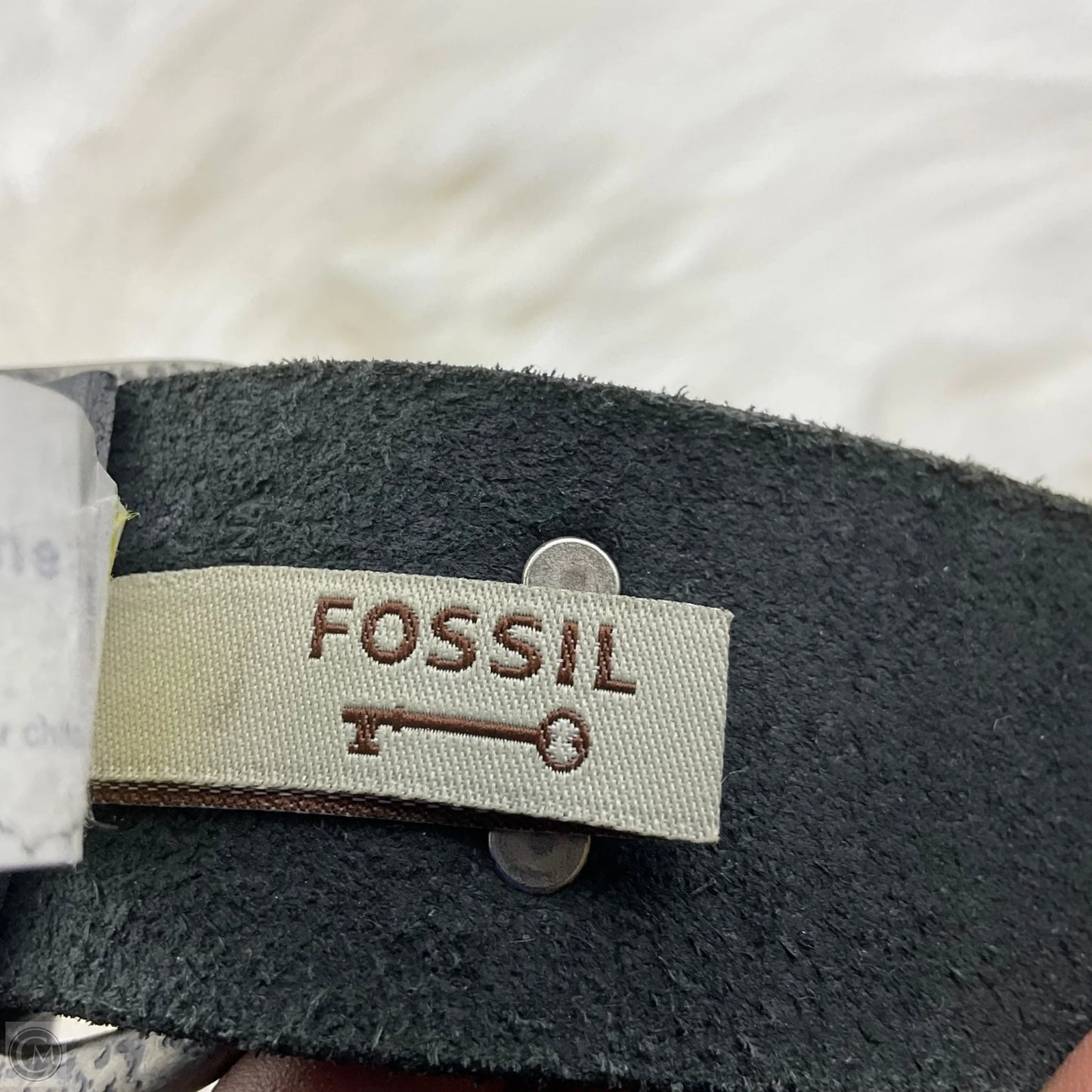 Belt By Fossil
