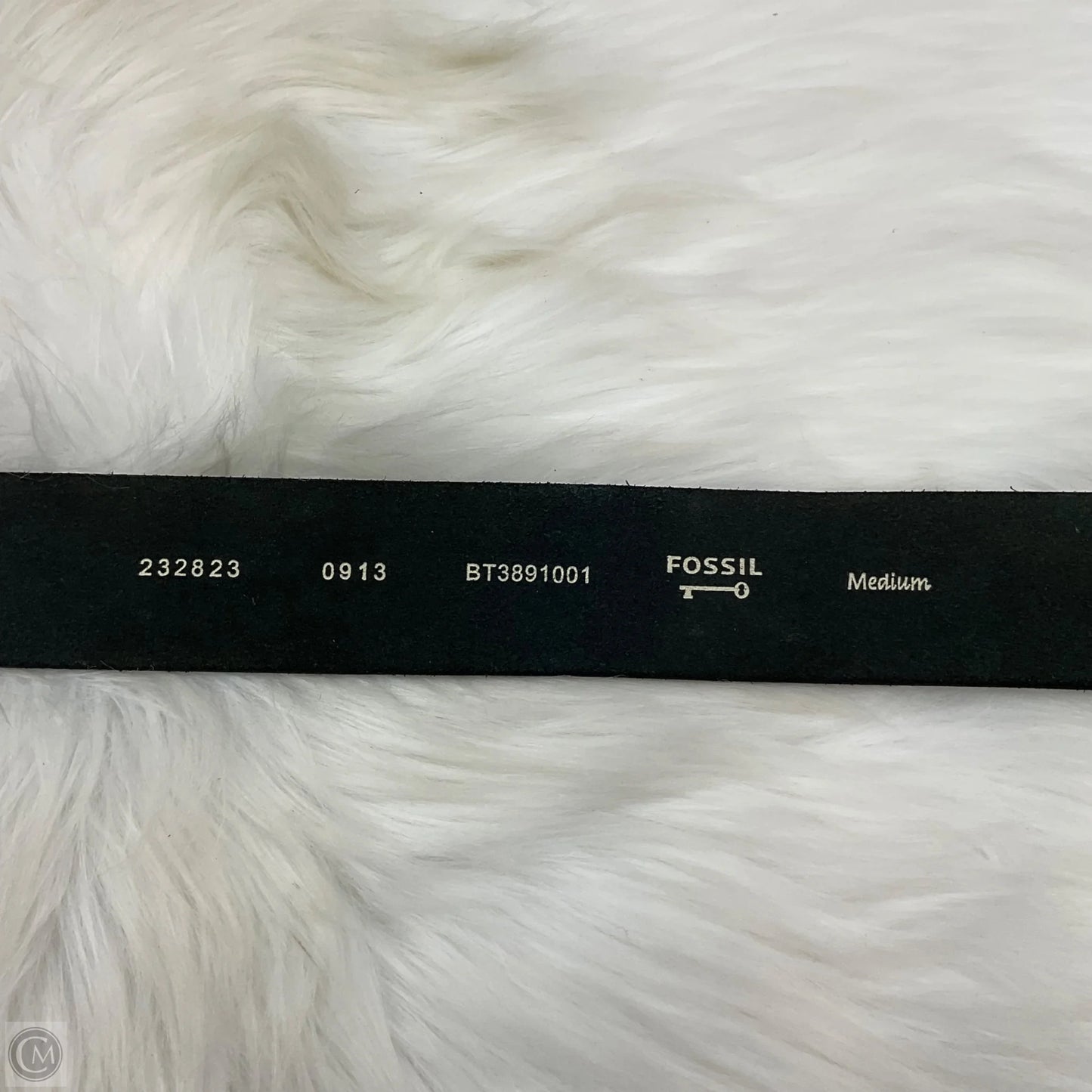 Belt By Fossil