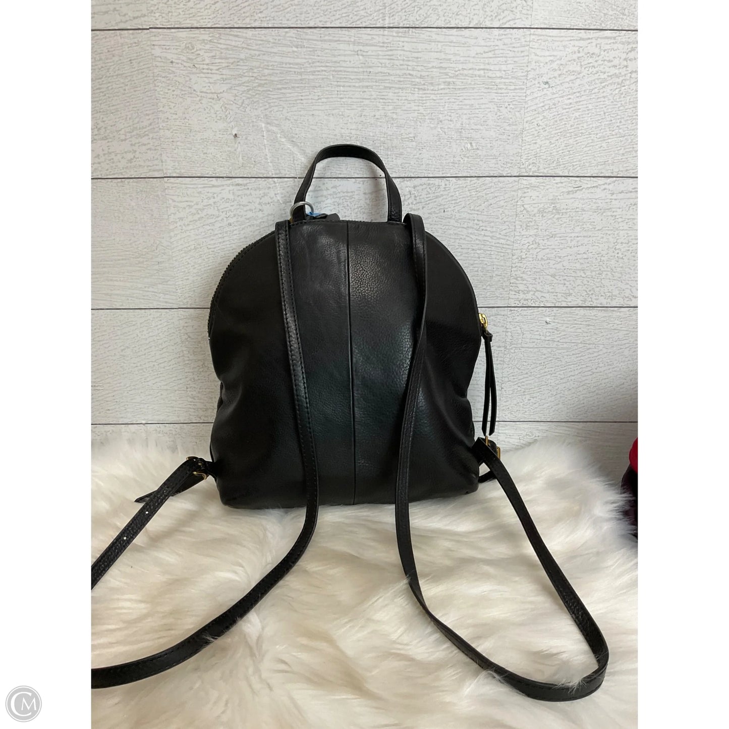 Backpack Leather By Margot, Size: Small