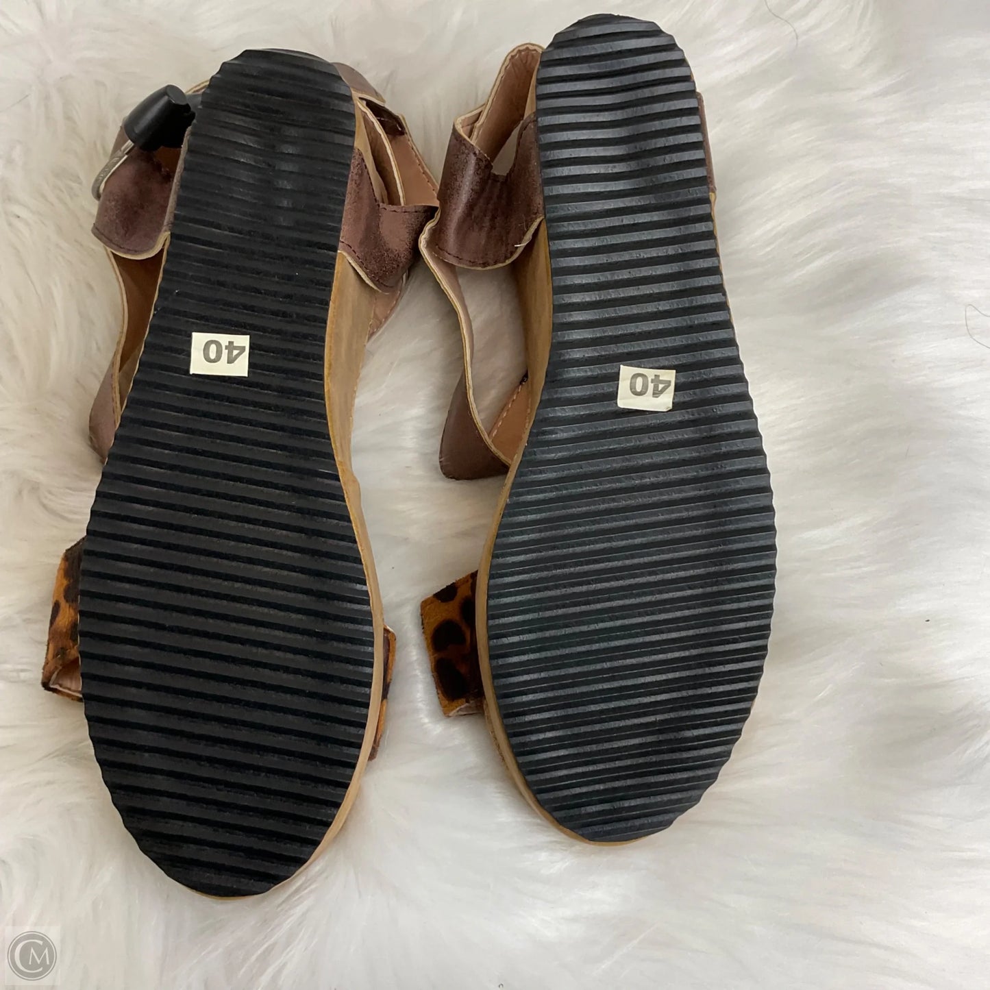 Shoes Heels Wedge By Clothes Mentor In Animal Print, Size: 9.5