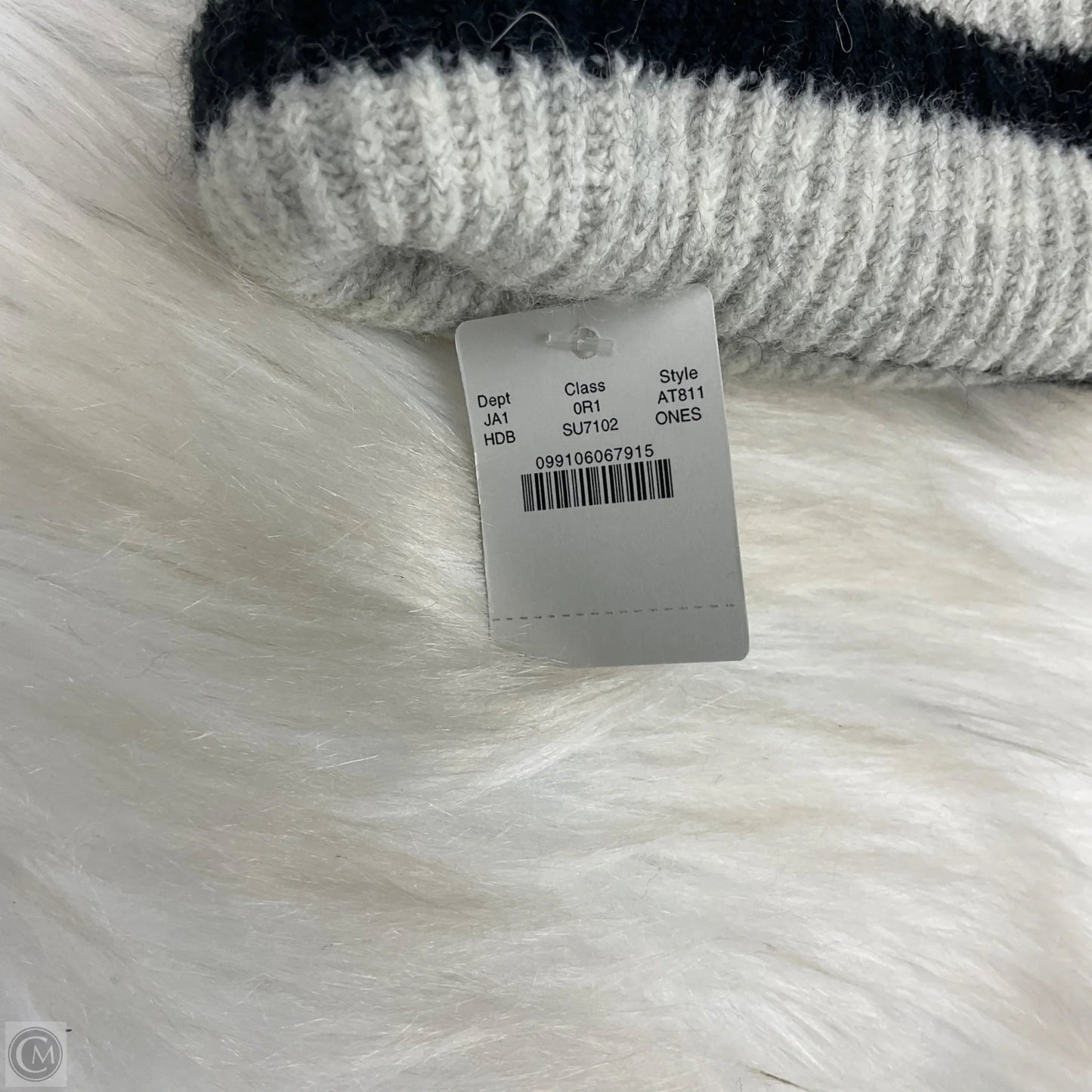 Hat Beanie By J. Crew