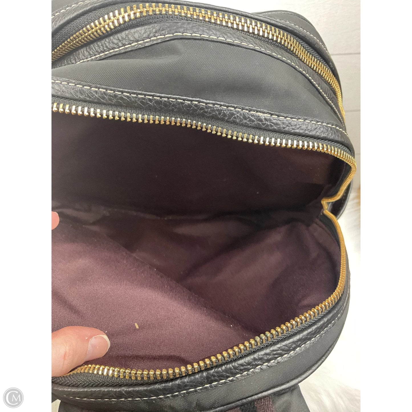 Backpack Designer By Coach, Size: Medium