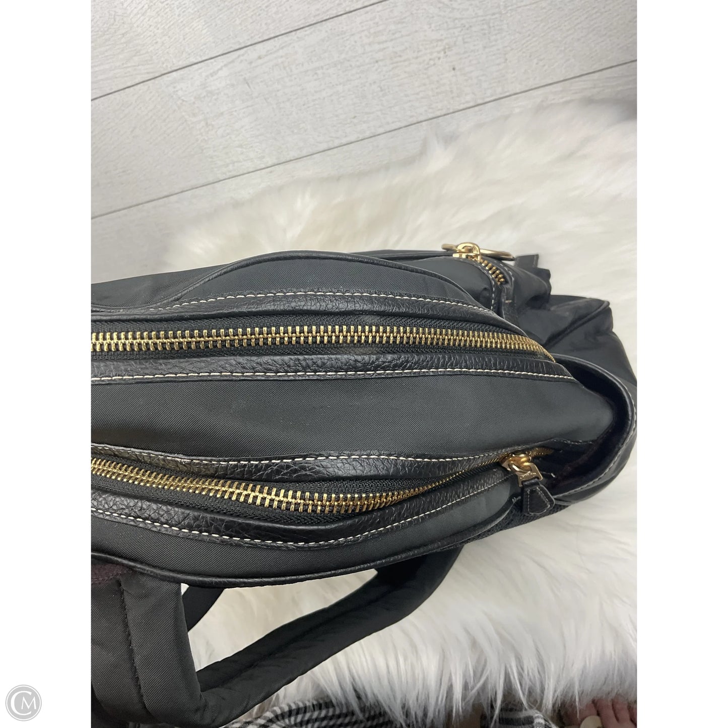 Backpack Designer By Coach, Size: Medium