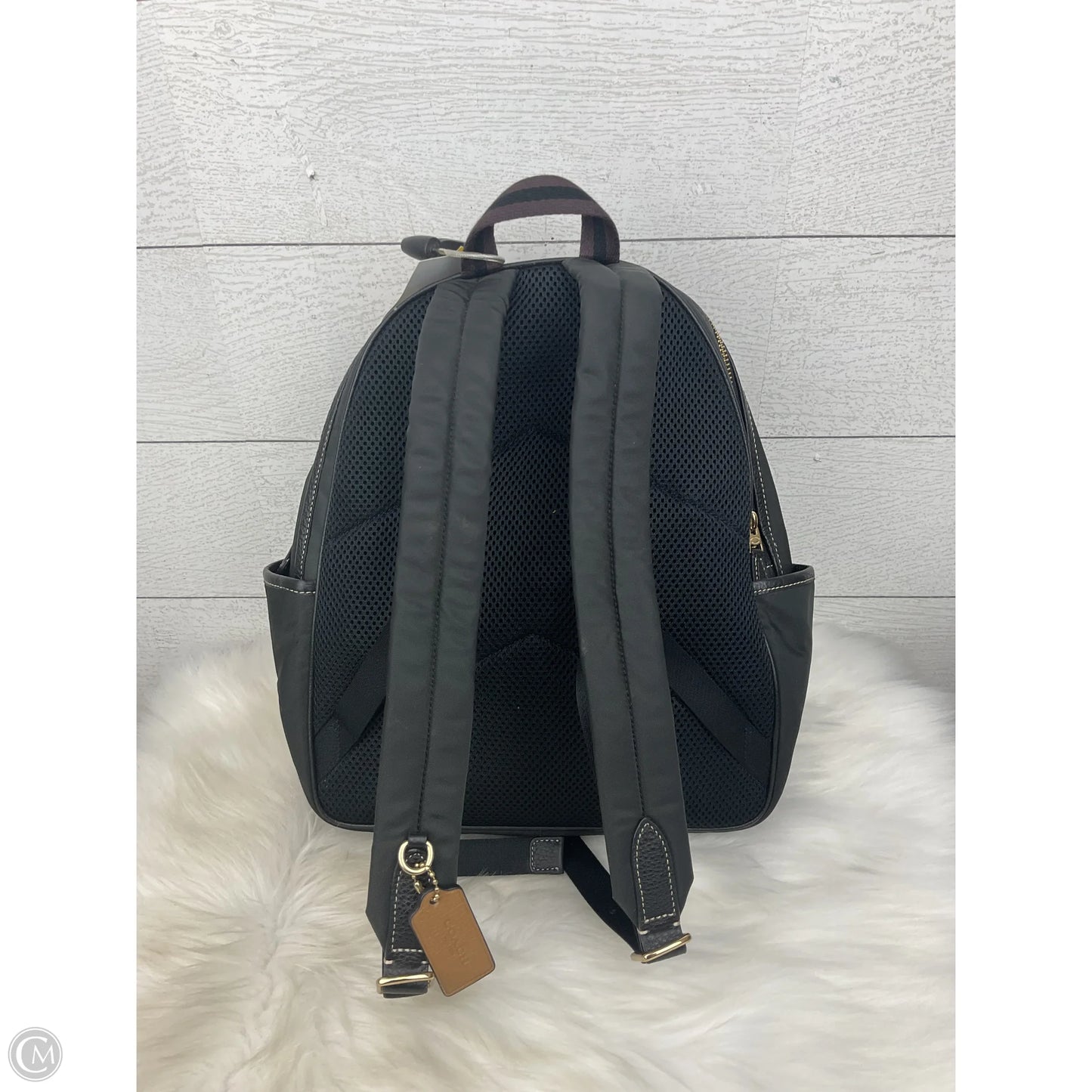 Backpack Designer By Coach, Size: Medium