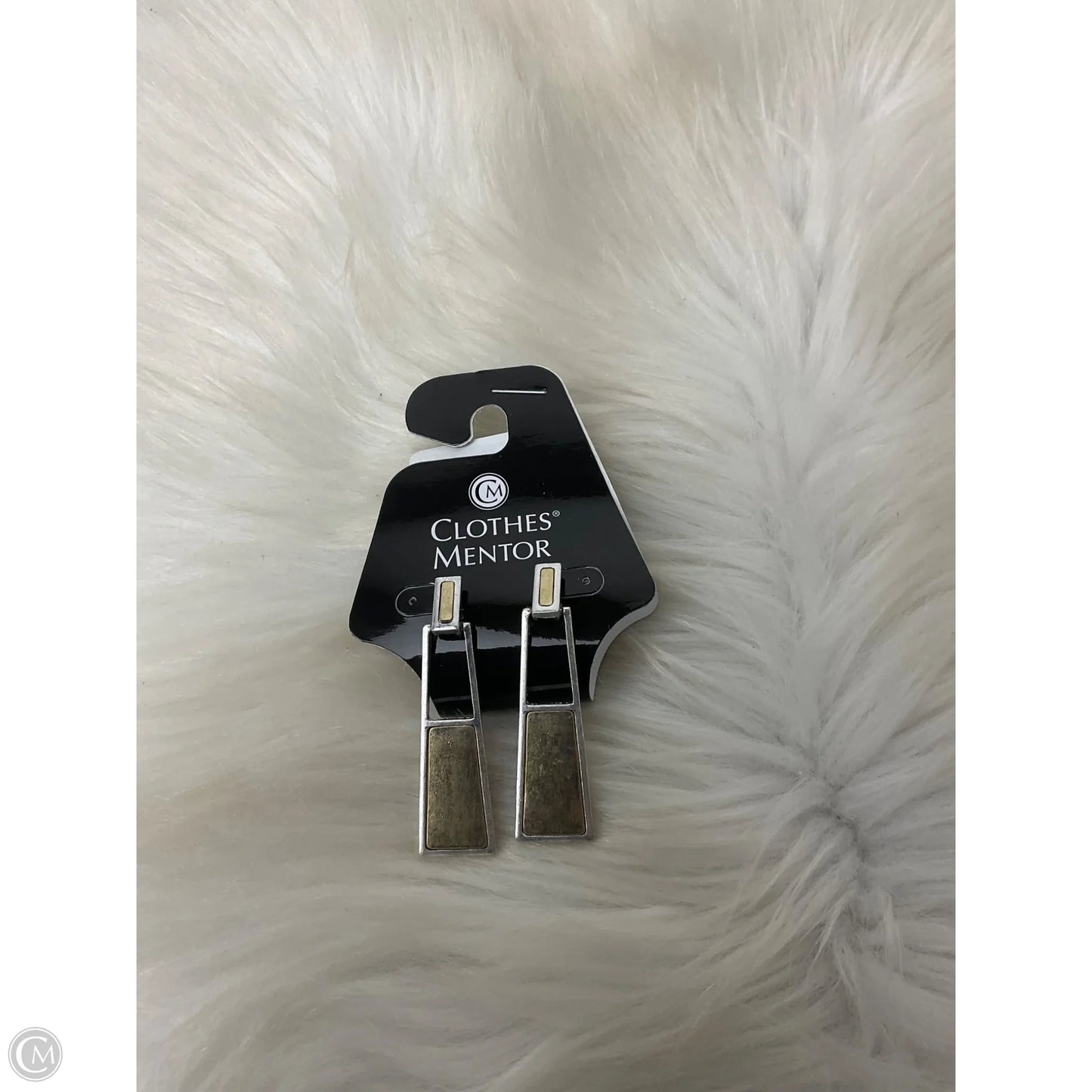 Earrings Dangle/drop By Clothes Mentor