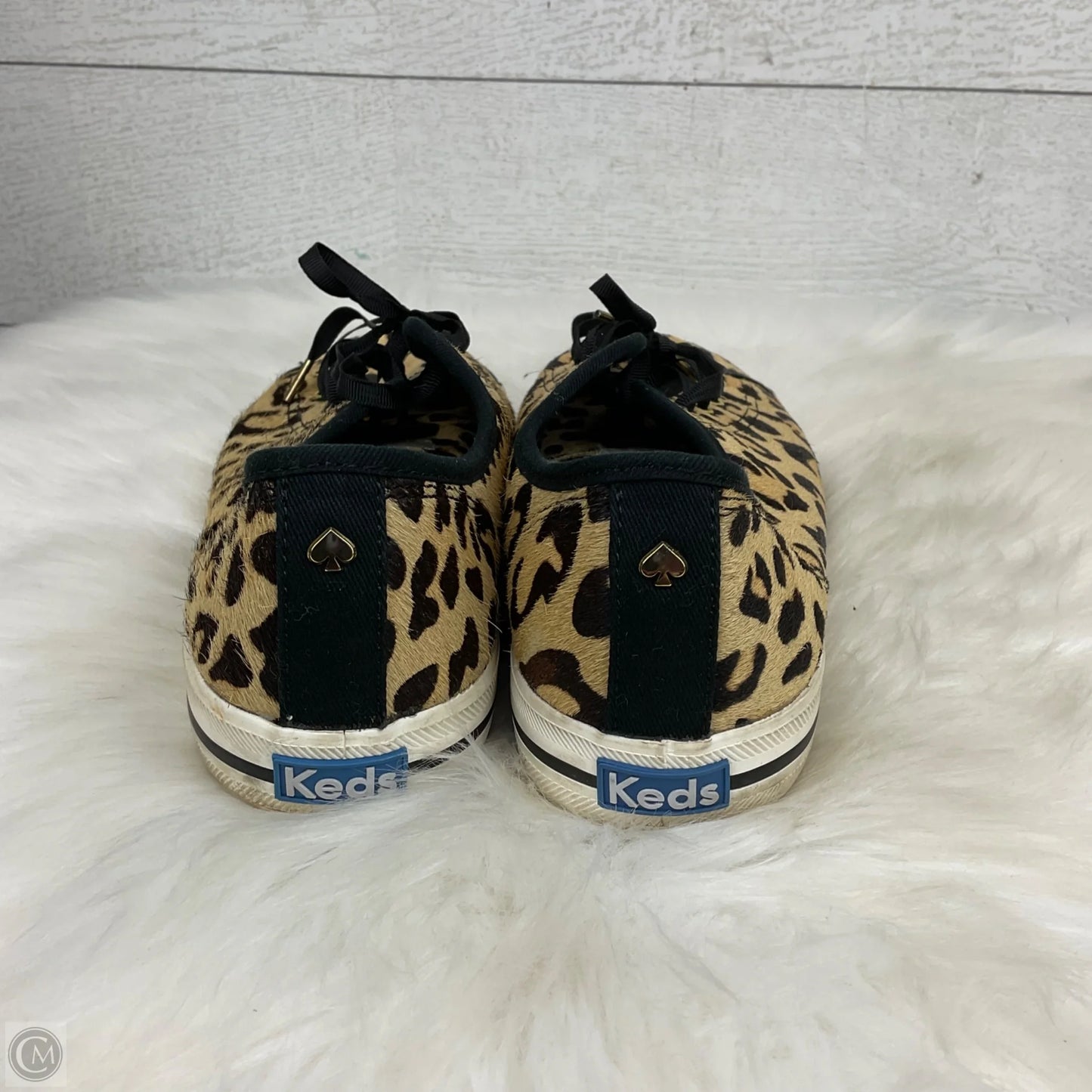 Shoes Sneakers By Keds In Animal Print, Size: 8