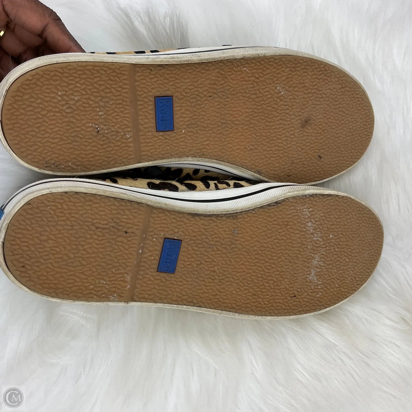 Shoes Sneakers By Keds In Animal Print, Size: 8