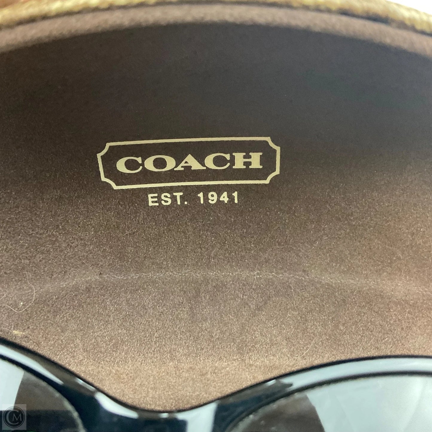 Sunglasses Designer By Coach