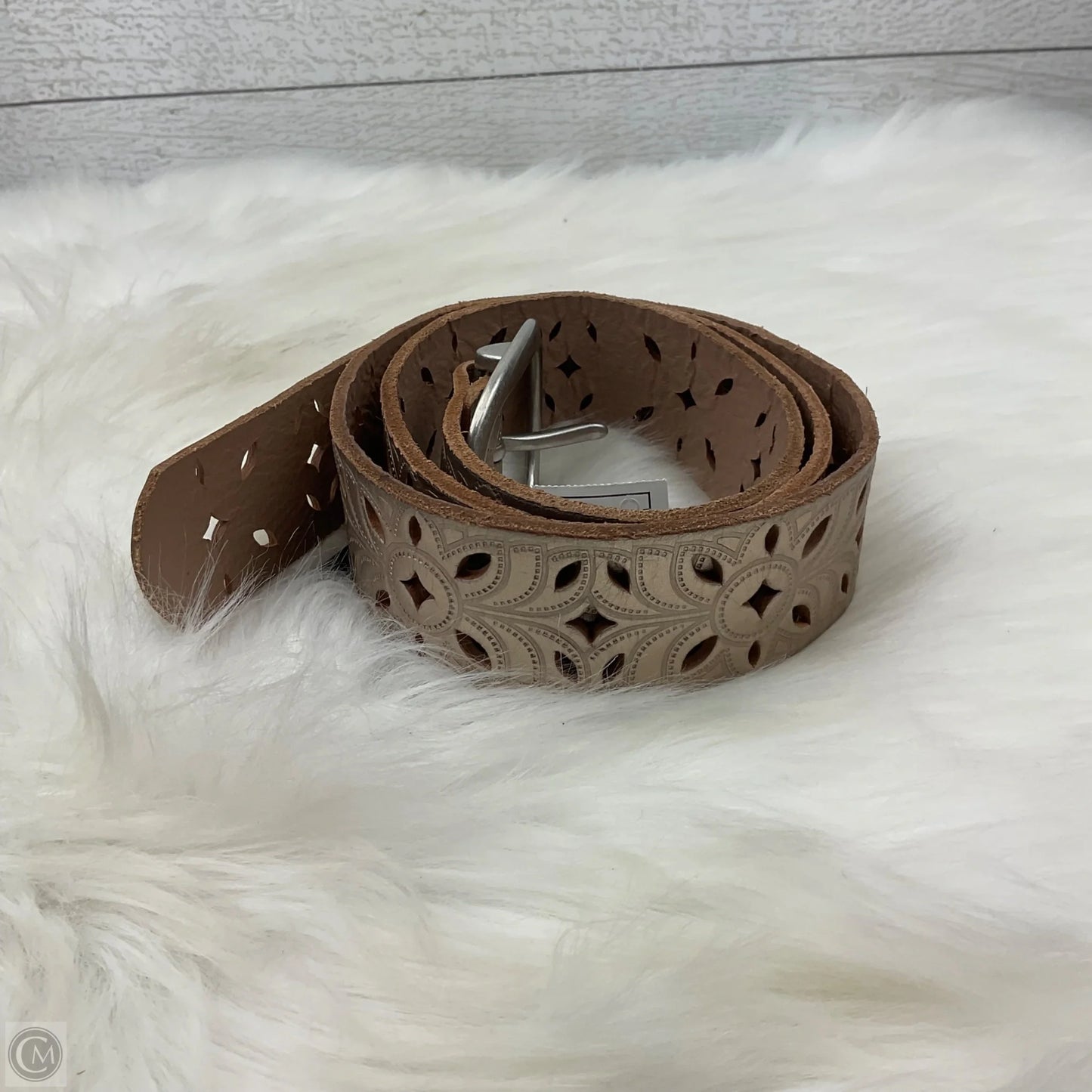 Belt By Fossil