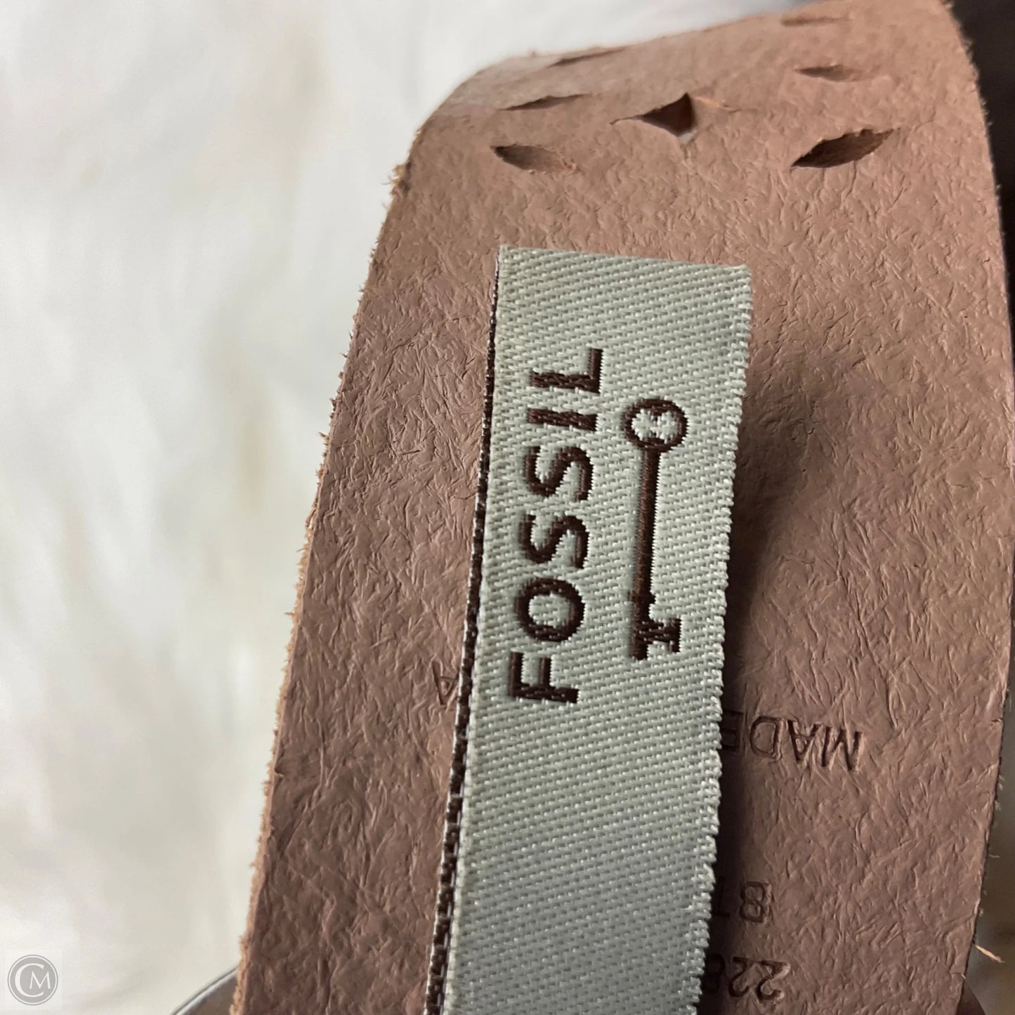 Belt By Fossil