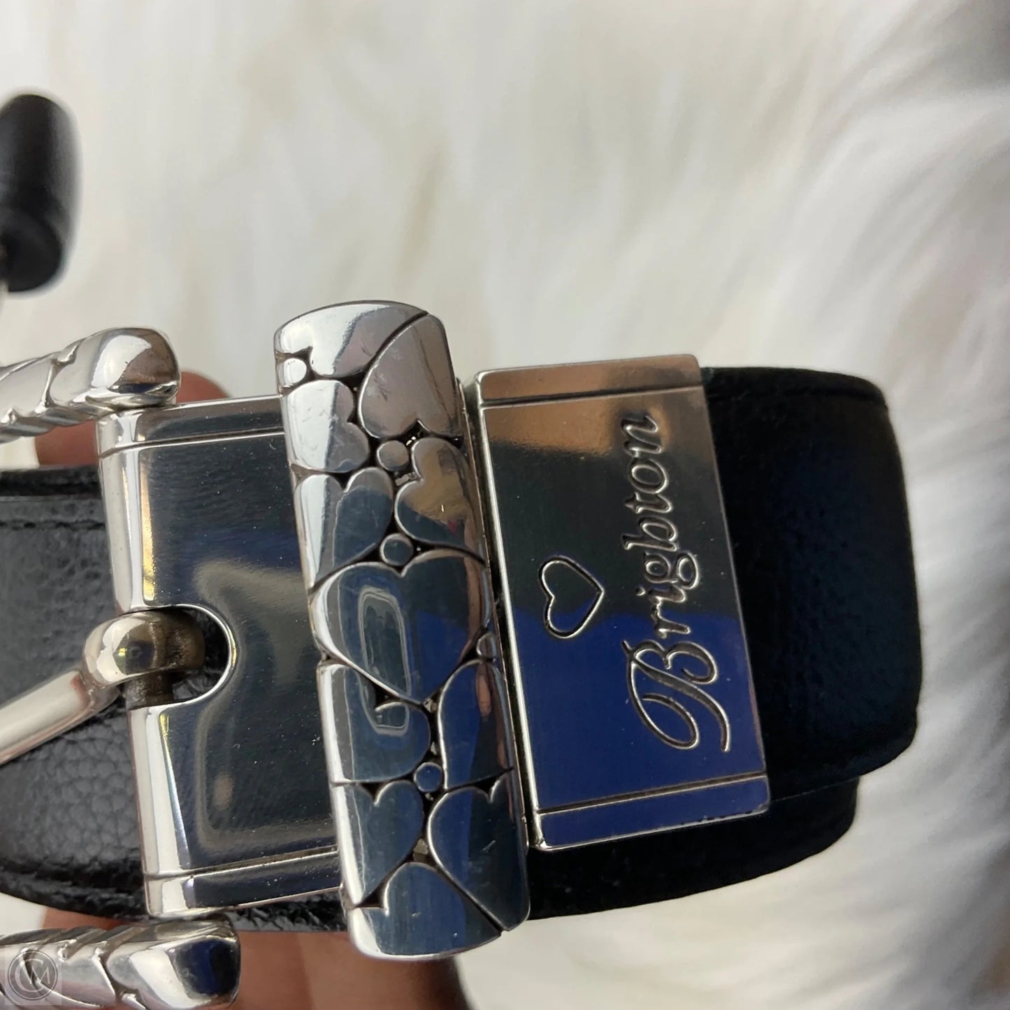 Belt By Brighton
