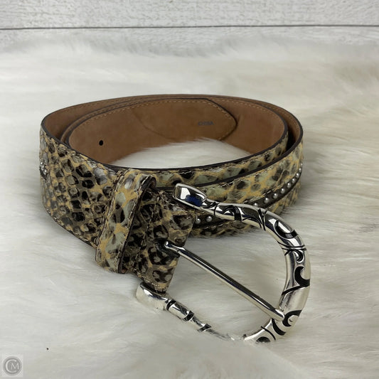 Belt By Brighton