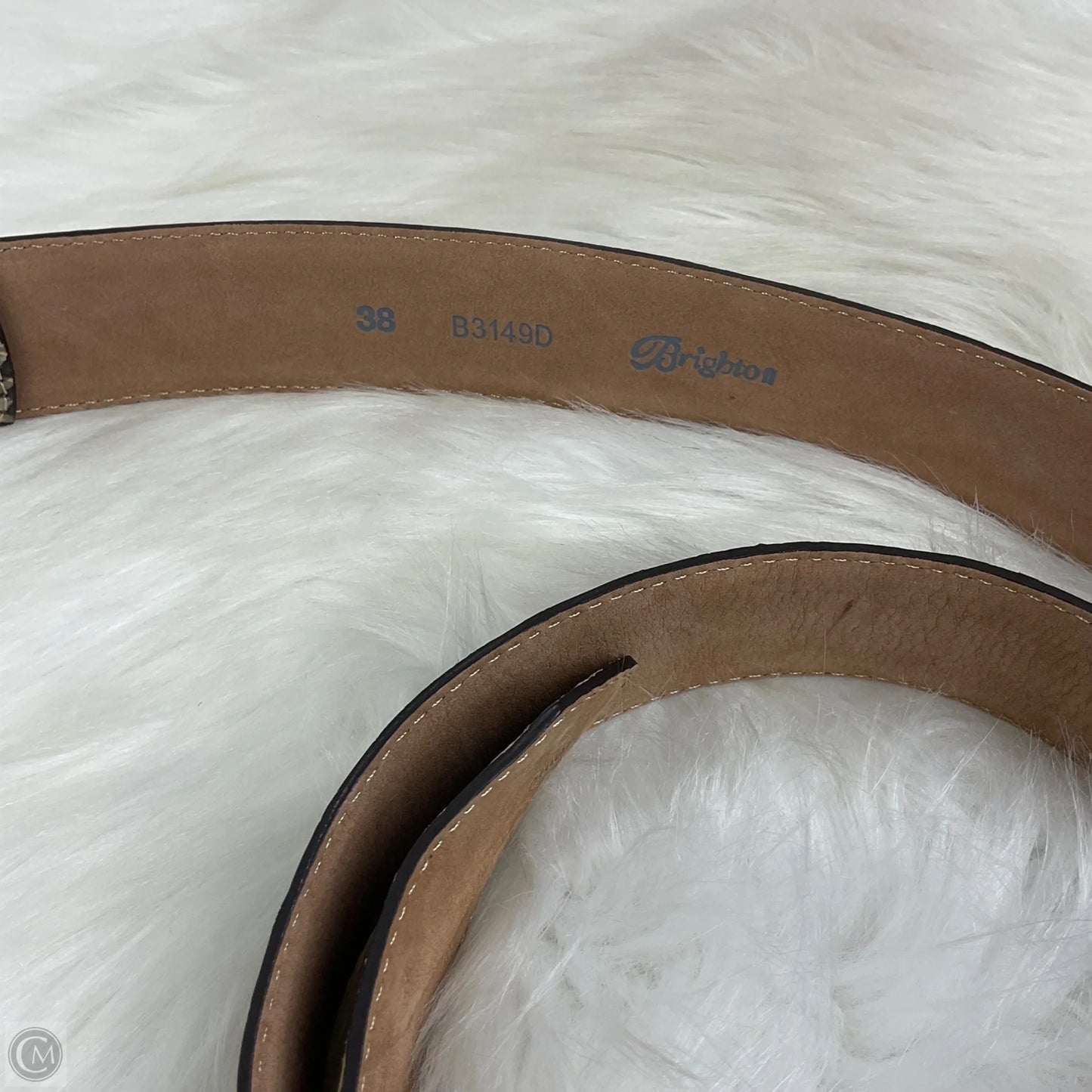 Belt By Brighton