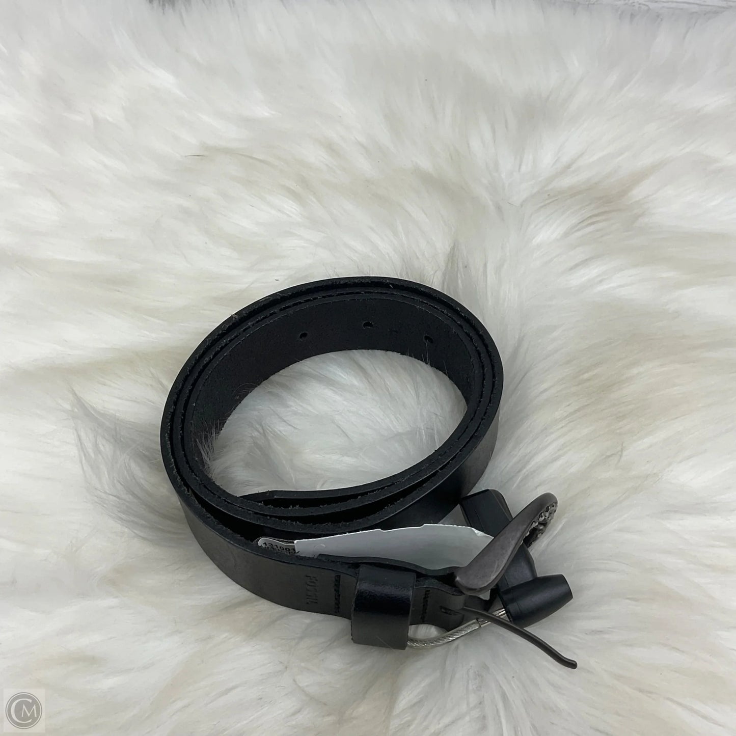 Belt By Fossil