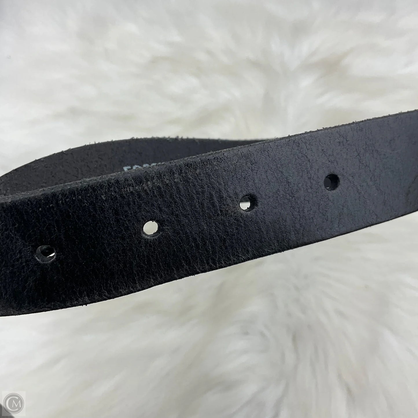 Belt By Fossil