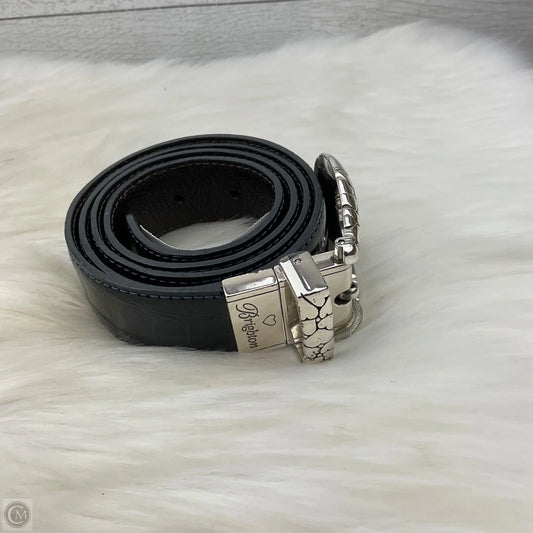 Belt By Brighton