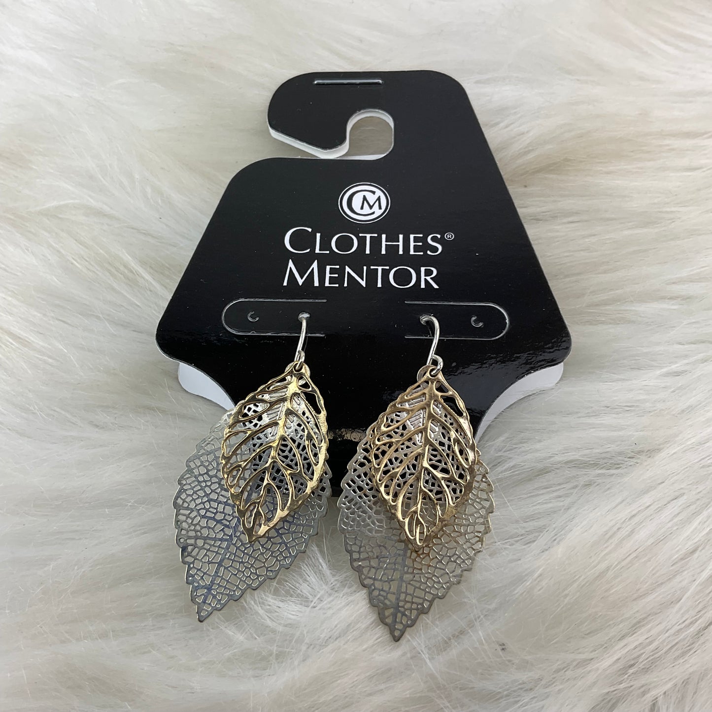 Earrings Dangle/drop Clothes Mentor, Size 0