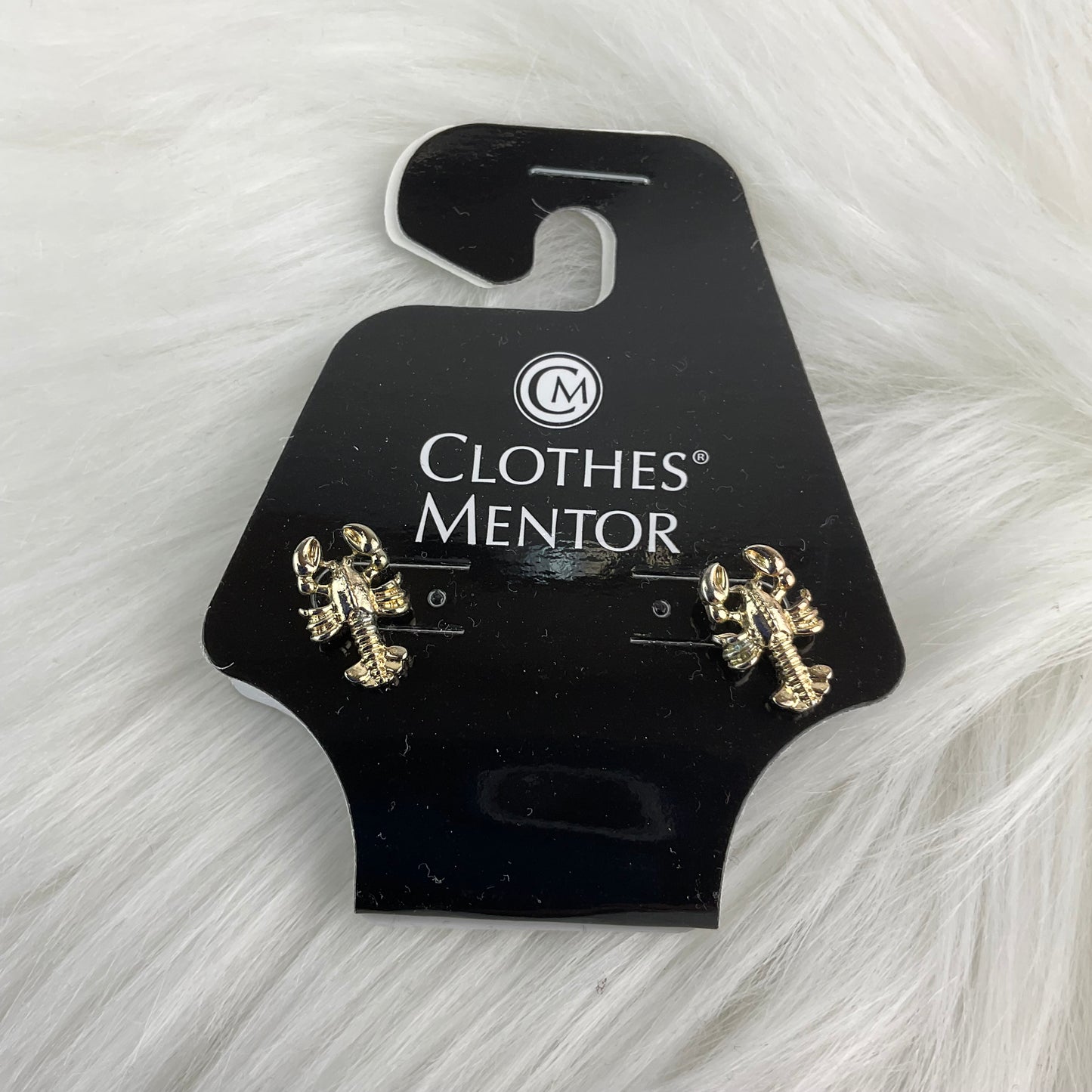 Earrings Stud Clothes Mentor, Size 0