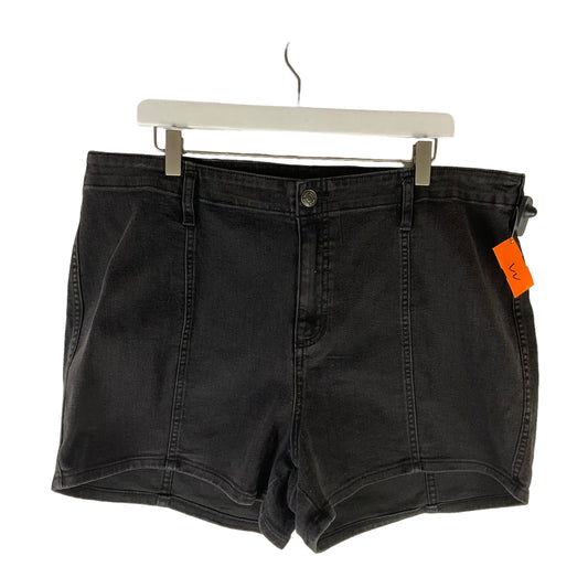 Shorts By Wild Fable  Size: 17