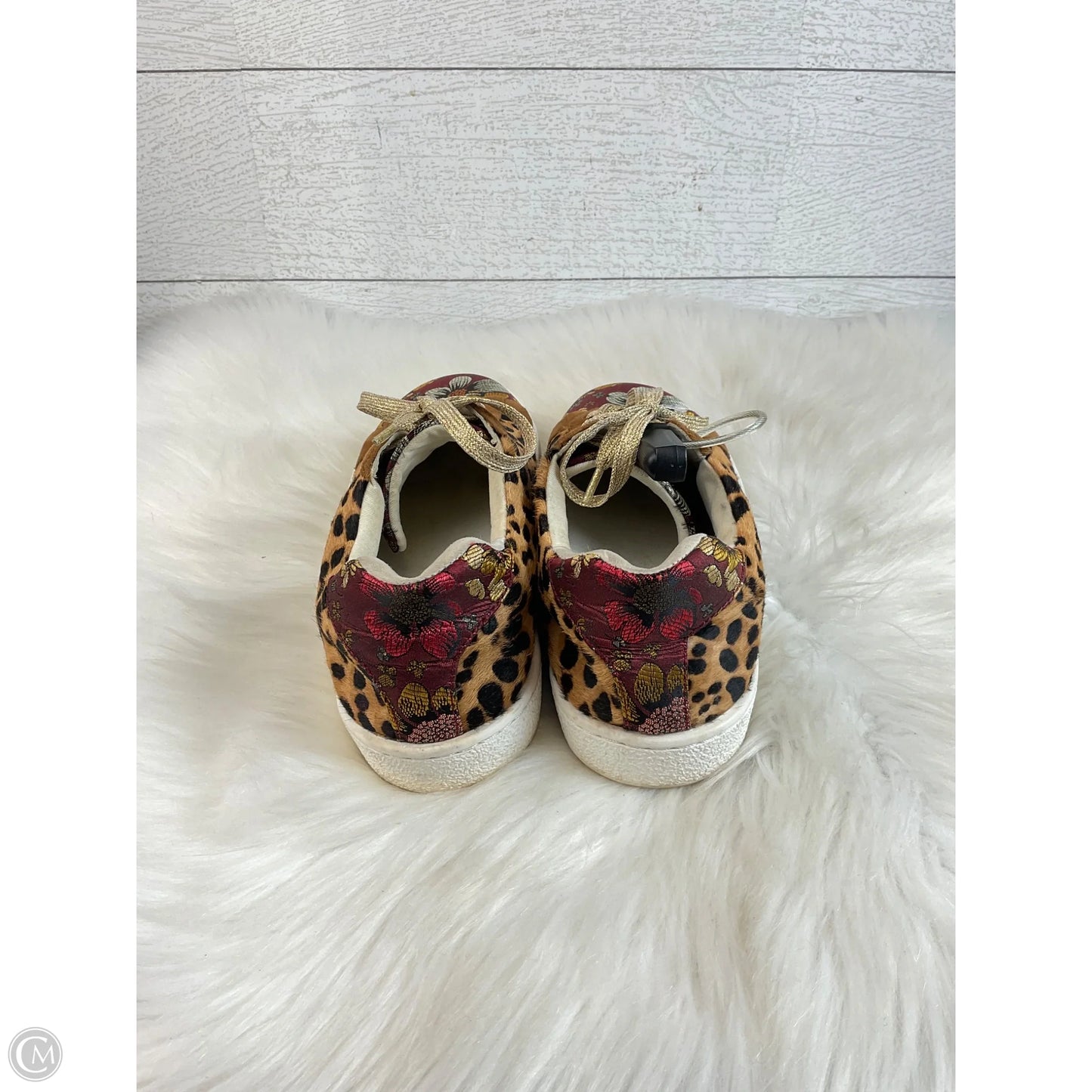 Shoes Flats By Johnny Was In Animal Print, Size: 6.5