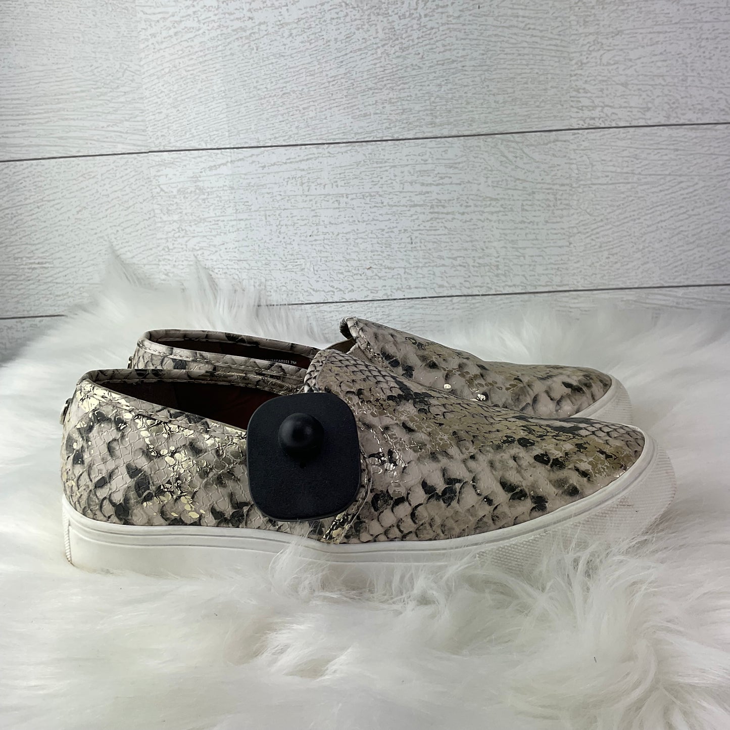 Shoes Flats By Steve Madden In Animal Print, Size: 7