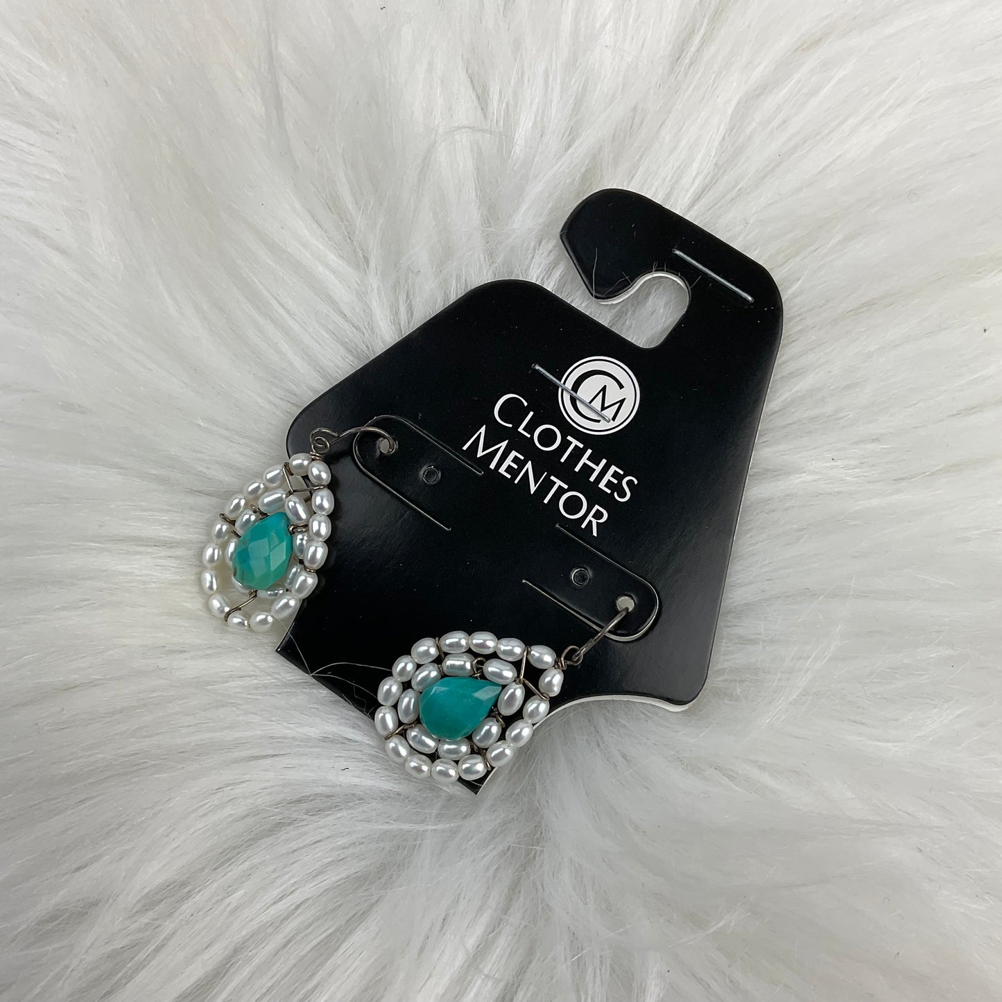 Earrings Dangle/drop By Clothes Mentor