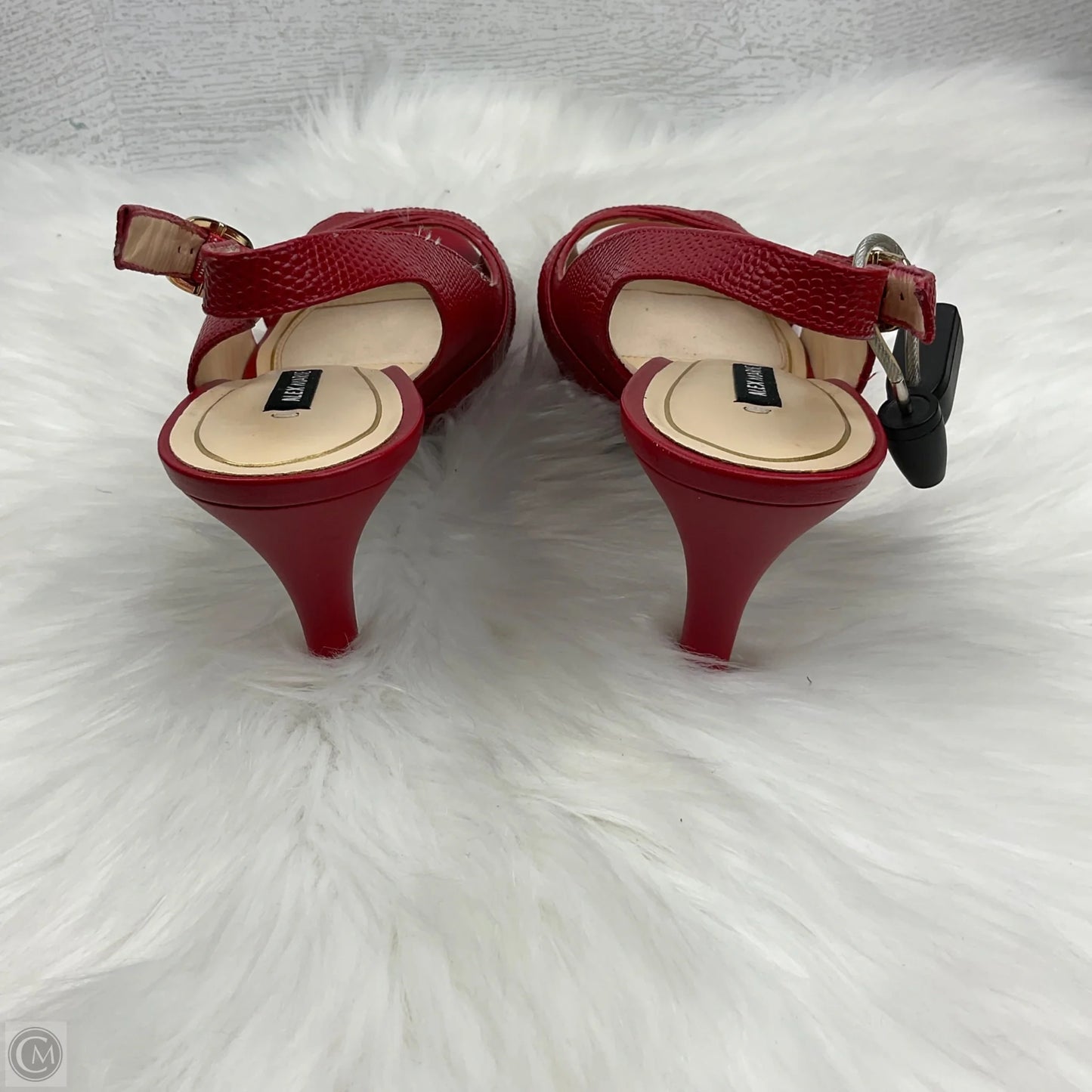 Shoes Heels Kitten By Alex Marie In Red, Size: 8