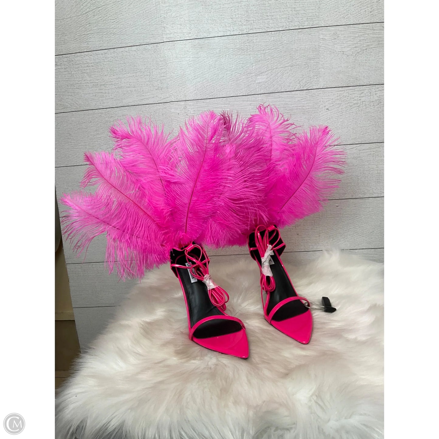 Shoes Heels Kitten By Cape Robbin In Pink, Size: 9