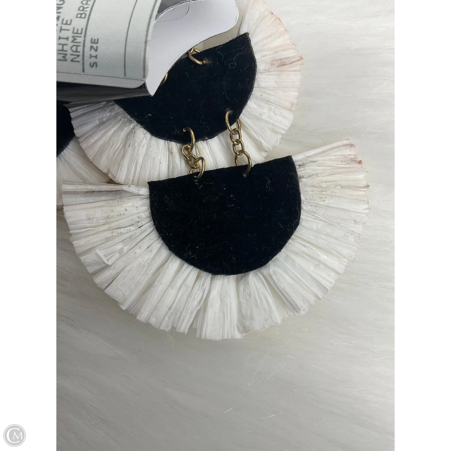 Earrings Dangle/drop By Clothes Mentor