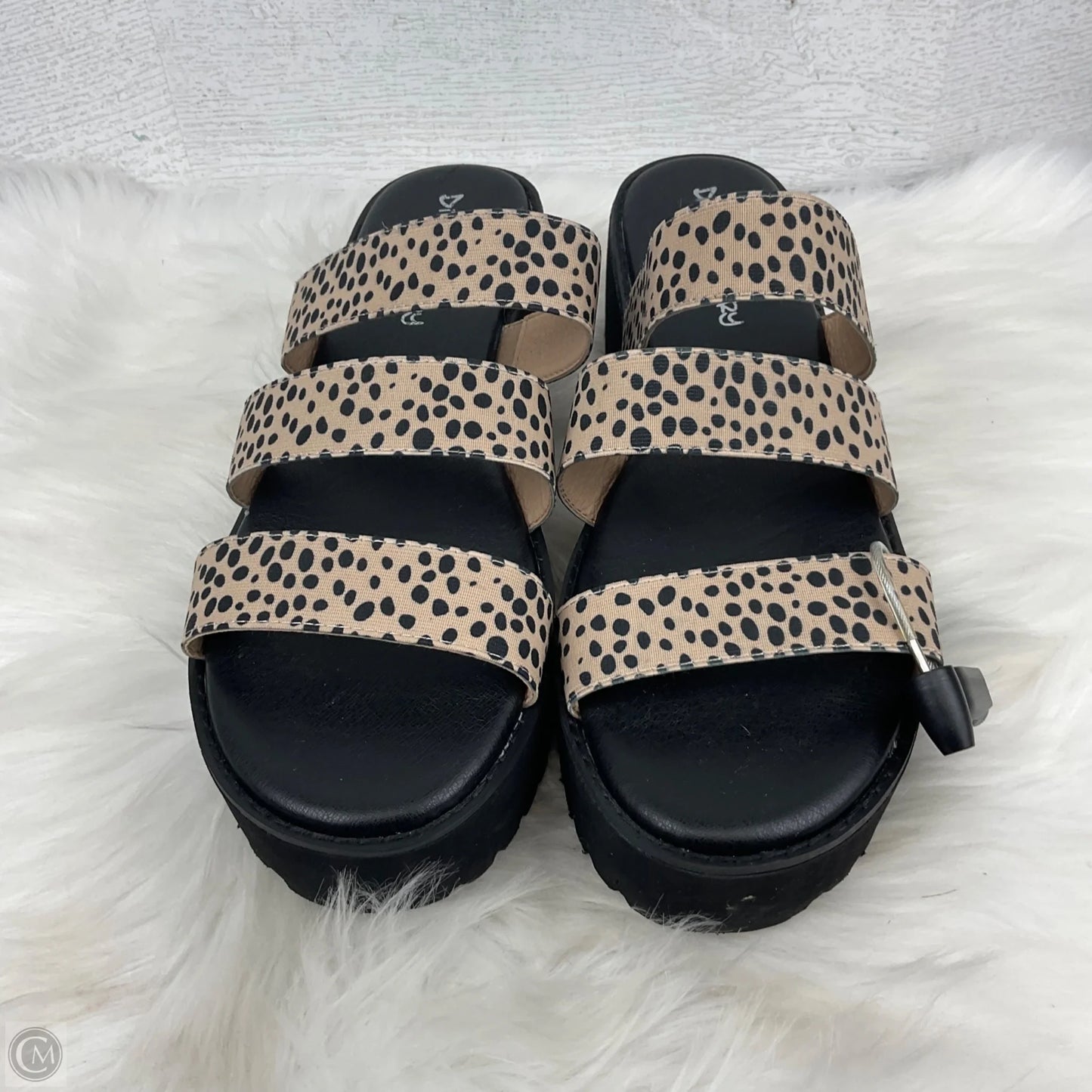 Sandals Heels Platform By Dirty Laundry In Animal Print, Size: 11