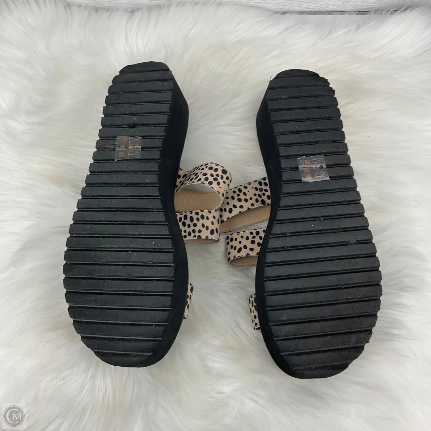 Sandals Heels Platform By Dirty Laundry In Animal Print, Size: 11
