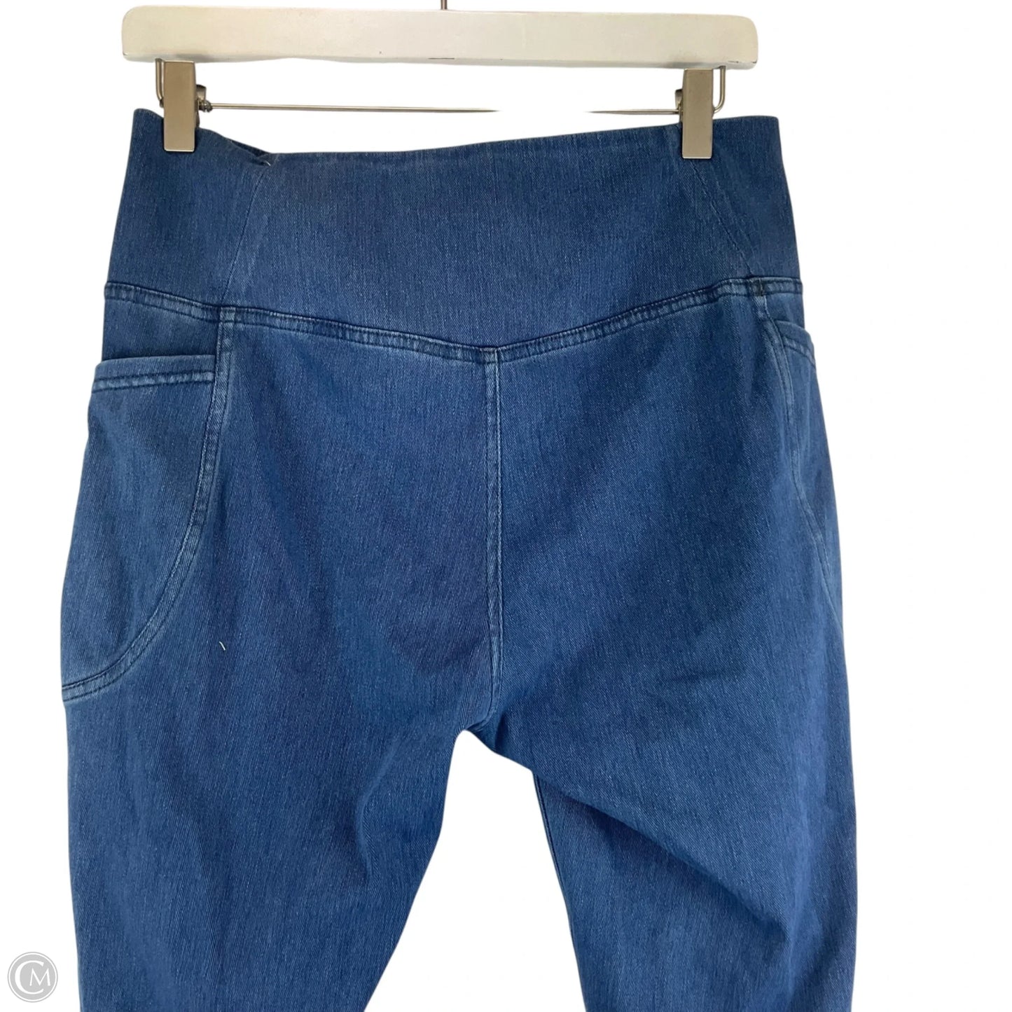 Pants Leggings By Clothes Mentor In Blue, Size: L