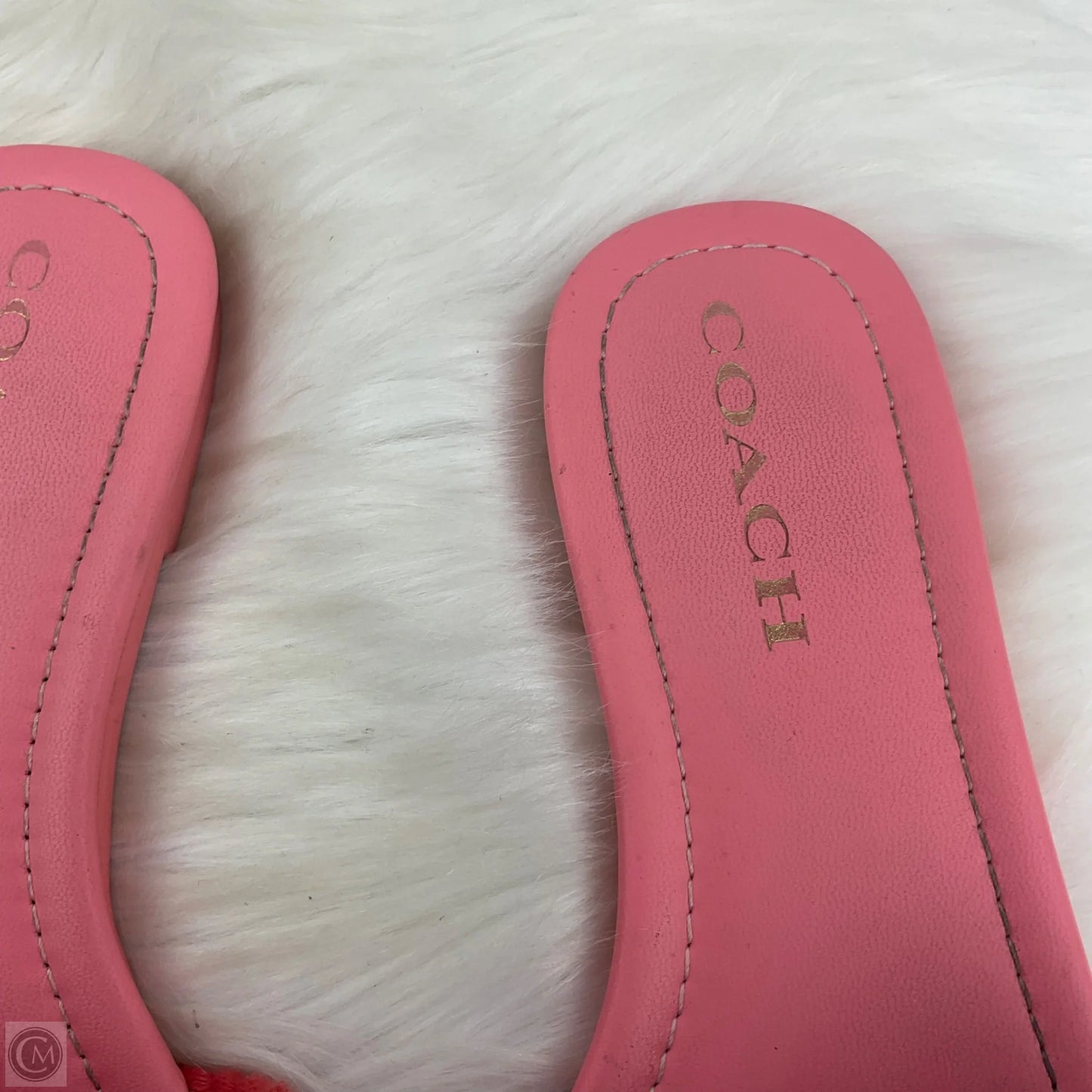 Sandals Designer By Coach In Rainbow Print, Size: 7