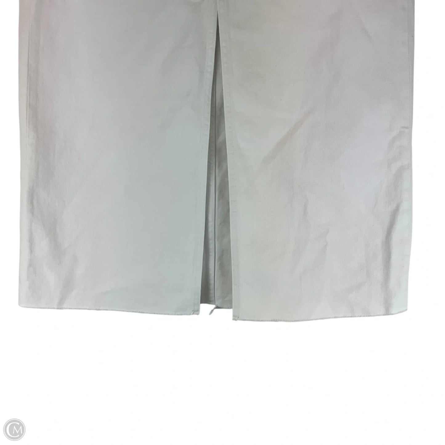 Maxi Skirt By Pistola In White, Size: 8